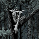 Image for article titled The 20 Best Comics and Graphic Novels of 2015